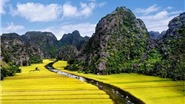  Tour Hoa Lư-Tam Cốc Mùa Lúa Chín-Hồ Tây-Hạ Long-Yên Tử: Mê hoặc đất kinh kỳ
