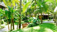Không gian xanh tại Seahorse Resort & Spa