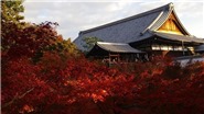 Kinh nghiệm du lịch Nhật Bản tự túc. Khám phá Kyoto 3 ngày như thế nào?