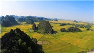 Những địa điểm ngắm lúa chín đẹp nhất Việt Nam
